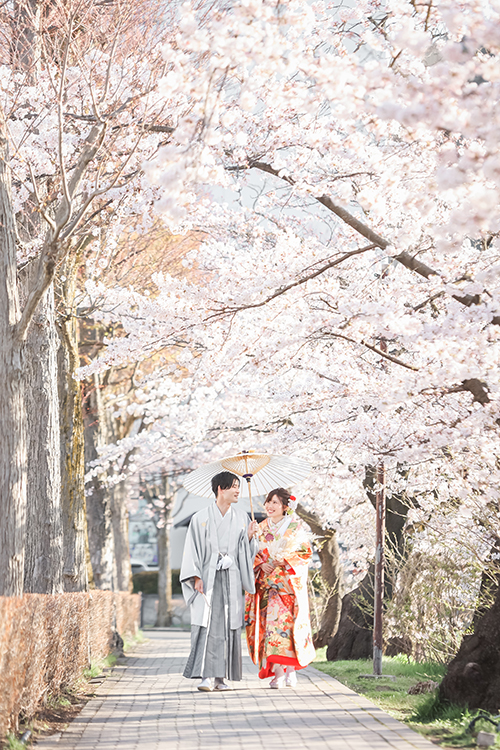 松本城桜前撮り