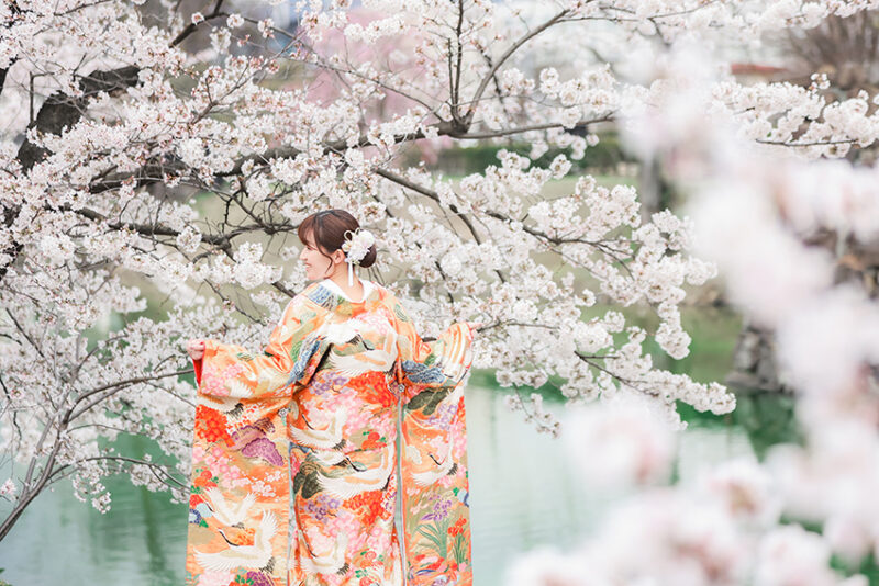 春の松本城色打掛